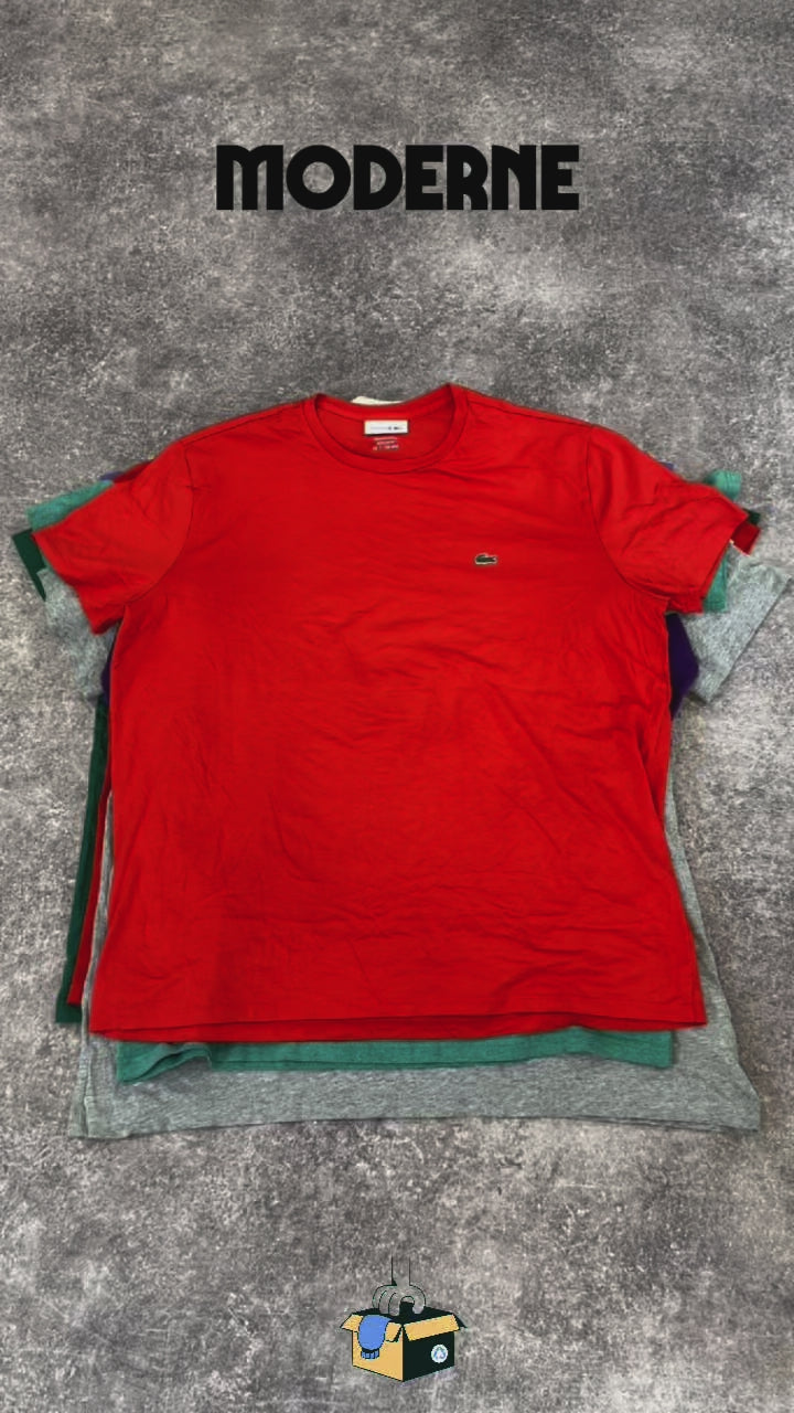 t-shirt-homme-femme-marque-brand-adidas-nike-carhartt-lacoste-ralph-lauren-reebok-puma-moderne-vintage-vetement-grossiste-friperie-wholesaler-seconde-main-marque-occasion-textile-piece-80-90-2000-2010-french-pick